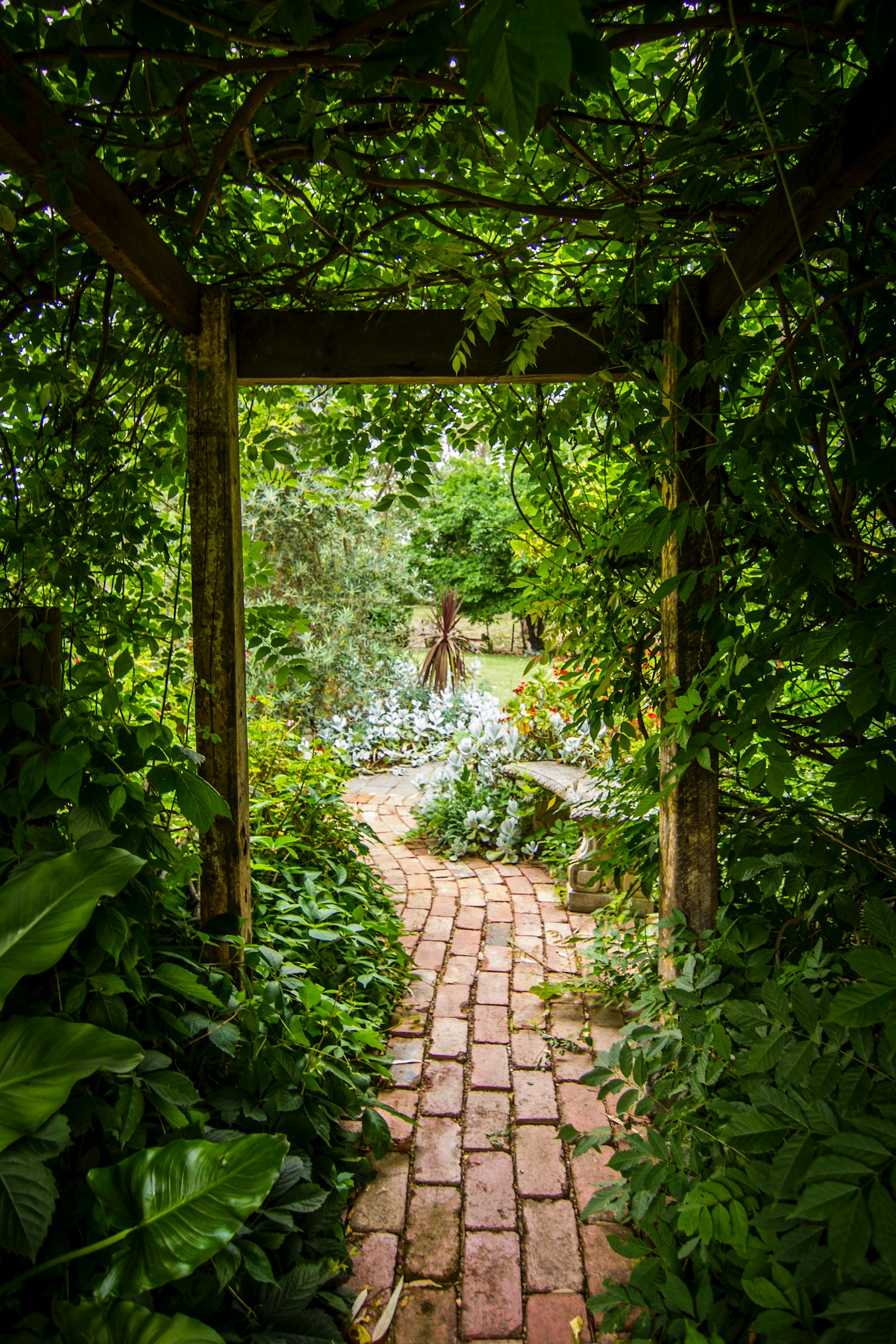 Tuinpad tussen weelderige, natuurlijke beplanting